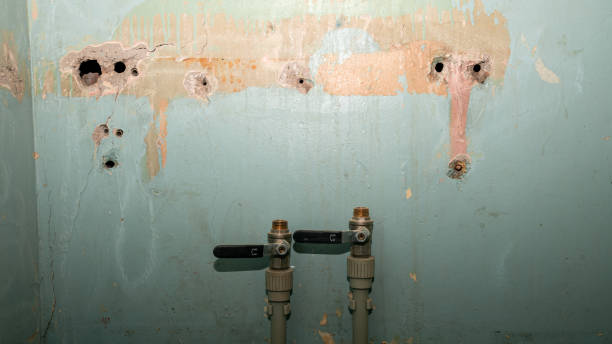 Best Local water damage restoration  in Omak, WA