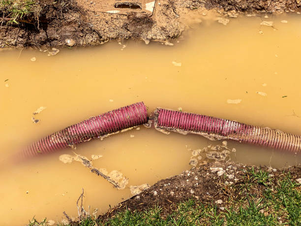 Best Water damage repair service  in Omak, WA