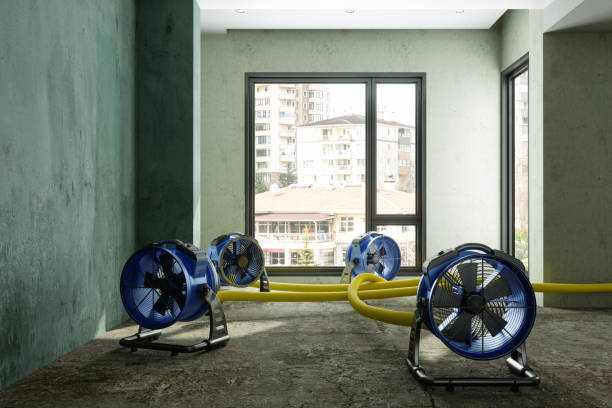 Best Fire Damage Restoration  in Omak, WA