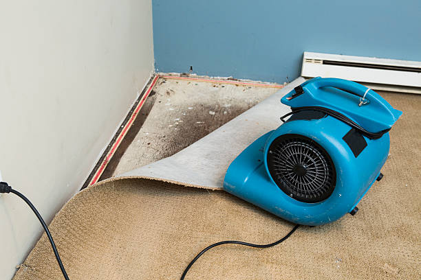 Best Flood damage cleanup  in Omak, WA